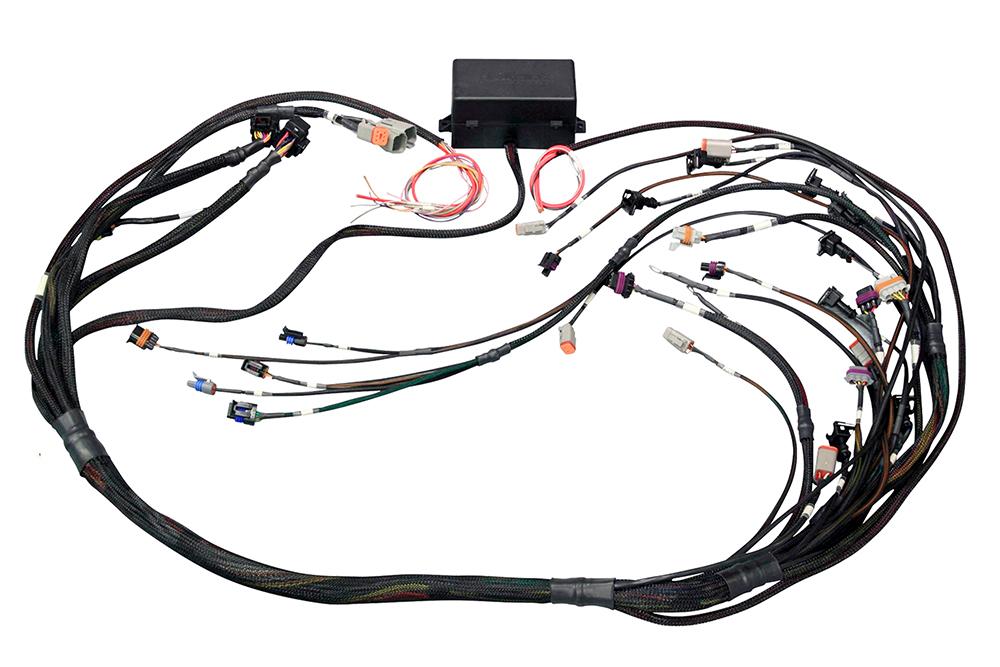 Haltech Elite 2000 2500 GM GEN III LS1 & LS6 non-DBW Terminated Harness 