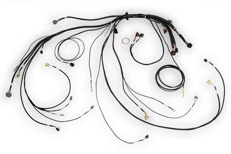 Haltech Nexus Rebel LS Terminated Harness for Nexus Rebel LS ECU