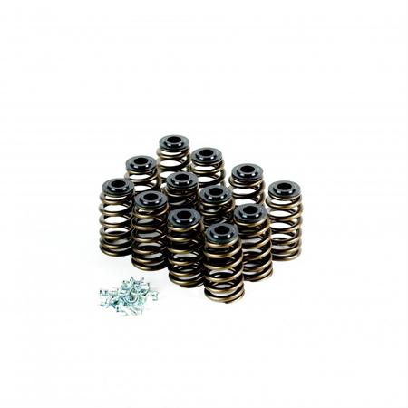 Crow Cams 120lb Ecotec Valve Spring Kit Suit L36, L67 3.8L  Engines - Set of 12